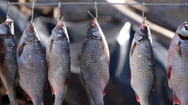 The river salted fish hangs on an iron jug and is dried