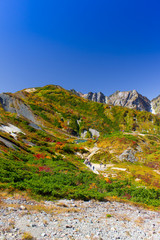 白馬八方尾根の紅葉／八方池／長野県白馬村