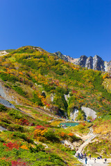 白馬八方尾根の紅葉／八方池／長野県白馬村