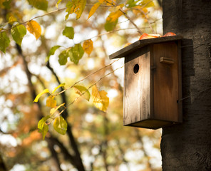 The bird house in forest