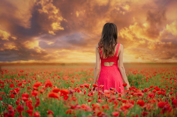 beautiful woman in a red dress in a poppy field at sunset from the back, warm toning, happiness and a healthy lifestyle