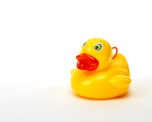 yellow bath duck on white background