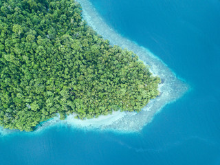 Aerial View of Fringing Reef and Island in Raja Ampat