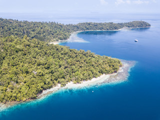 Fototapeta premium Rainforest and Coral Reef in Raja Ampat