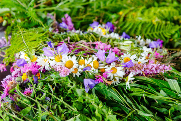 fragrant meadow herbs and flowers in the summer