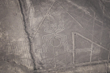 Nazca Lines - The Spider - Landmark of Peru.