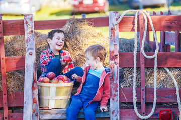 children having fun on the farm. happy boys sit on a cart with hay and keep a basket with apples