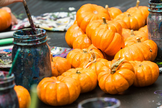 Miniature Pumpkins Wait To Be Painted At Fall Festival