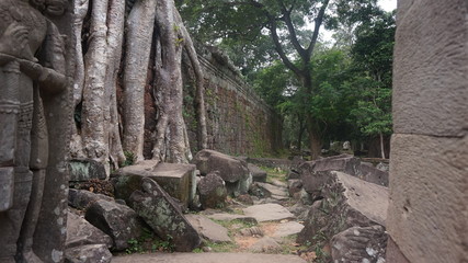 three and temple nice background at angkor wat