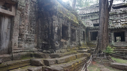 temple at angkor wat of Cambodia