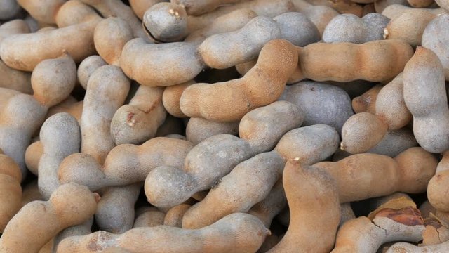 Exotic fruit in Thailand and Asian sweet tamarind close up