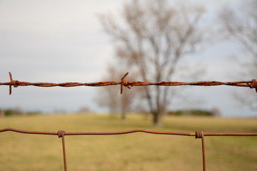 rusty old barbed wire fence. shallow depth of field trees for the background