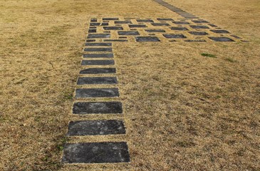 Obraz premium Brick pathway on a lawn