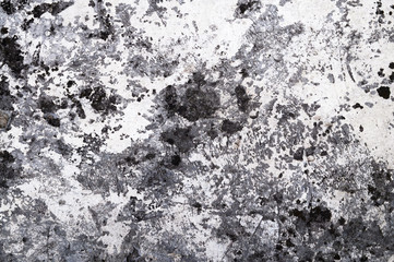 Grunge concrete wall