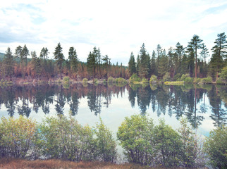 Autumn lake