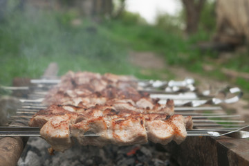 Appetizing shish kebab is fried on a skewers outdoor