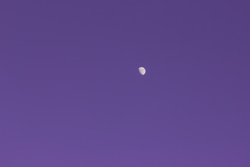 The Moon On The Purple Cloudless Sky