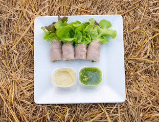 Salad roll green and red oak organic with filling tuna and sauce