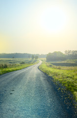 Naklejka premium Asphalt road disappearing into the distance.Sunny summer landscape.Green trees along the way.