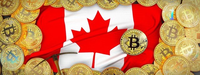 Bitcoins Gold around Canada flag and pickaxe on the left.3D Illustration.