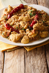 Indian food: Chettinad chicken curry with chili pepper closeup. vertical