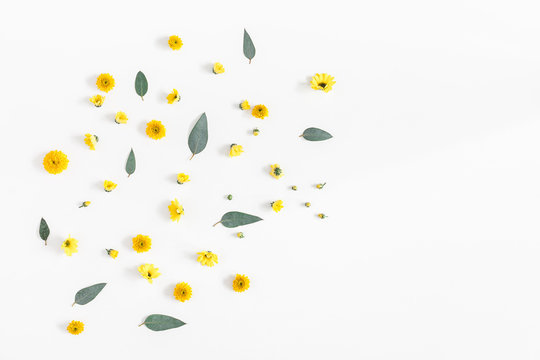 Flowers composition. Pattern made of yellow flowers and eucalyptus leaves on white background. Flat lay, top view, copy space