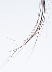 Macro of group hair strands
