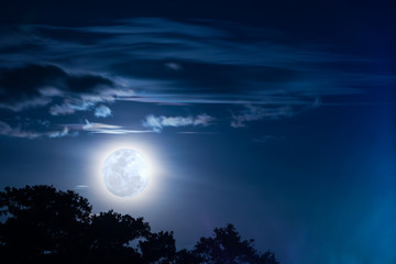 Super full moon with cloud and tree