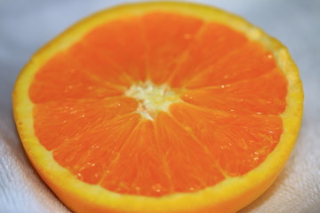 Half Cut Orange