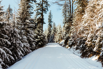 Górska ścieżka © MARCIN