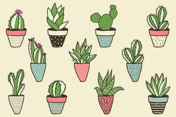 Set of different kinds of cactuses