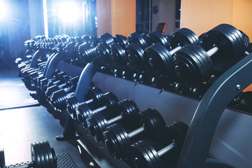 A set of dumbbells in the gym. Sports equipment