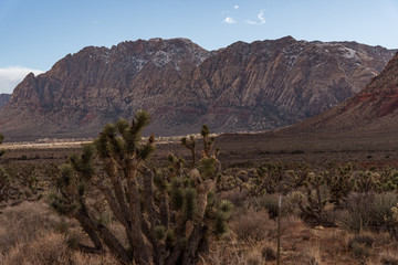 Rocky desert landscape with snow on top