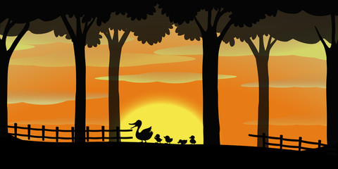 Silhouette background with ducks on the farm