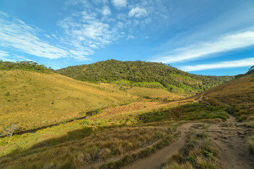 Obraz premium Central Highlands of Sri Lanka – landscape cloud forest of the Horton Plains National Park