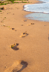 Footprints in the sand beach, wave and footsteps at sunset time