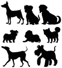 Different types of dogs in silhouette