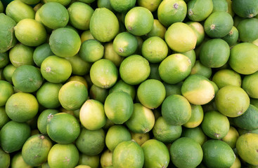 Pile of fresh lime lemon in market for sale. top view. Lime Citrus Fruits on display at Fruit Market
