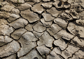 Cracked ground on a field.