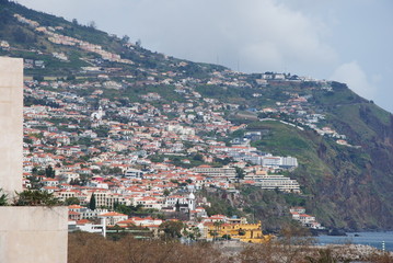 Fototapeta na wymiar Madeira, Blumen, Atlantik, Funchal