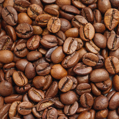 Roasted coffee beans. Selective focus.