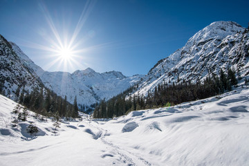 Fototapeta na wymiar Ski touring in Lechtal