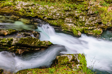 Fototapeta na wymiar Mountain river Radovna in the Vintgar gorge, a natural Triglav national Park, Slovenia. 