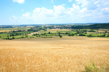 Obraz premium Idyllic countryside near Châteauneuf in Burgundy, France