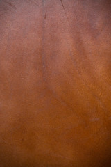 Genuine full grain leather background