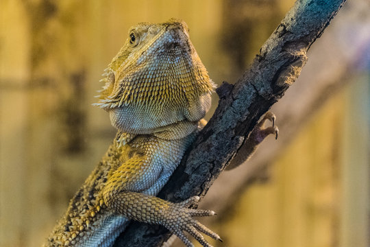 Exotarium Images – Browse 61 Stock Photos, Vectors, and Video | Adobe Stock