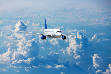 jet airplane in  sky