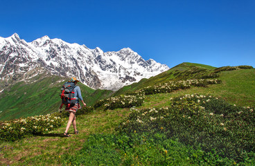 Fototapeta na wymiar tourist with large backpack rises on mountain trail with view of the Lardaard ice-fall in Georgia Svaneti