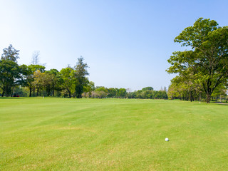 White golfball on fairway surrounding with big trees and blue sky background