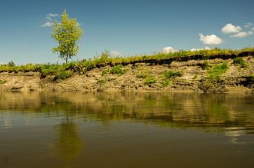 Lonely tree on the high bank of the river against the sky and clouds